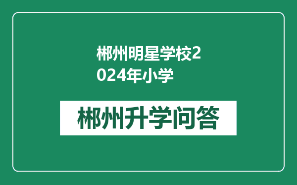 郴州明星学校2024年小学