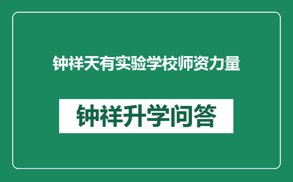 钟祥天有实验学校师资力量