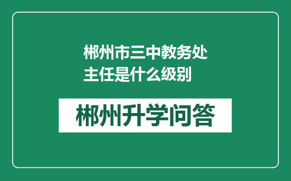 郴州市三中教务处主任是什么级别