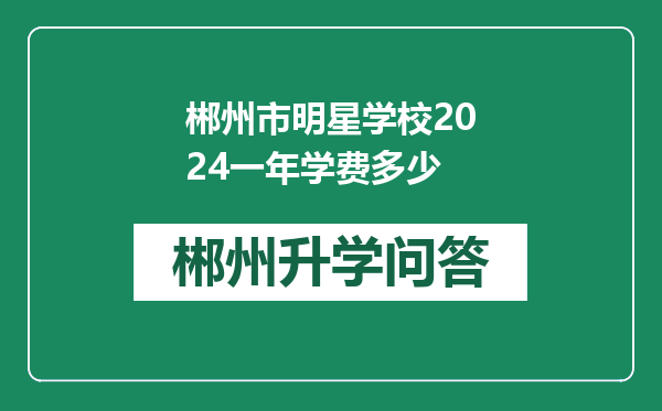 郴州市明星学校2024一年学费多少