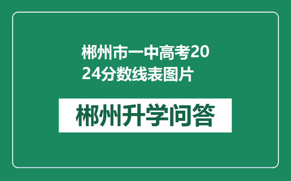 郴州市一中高考2024分数线表图片