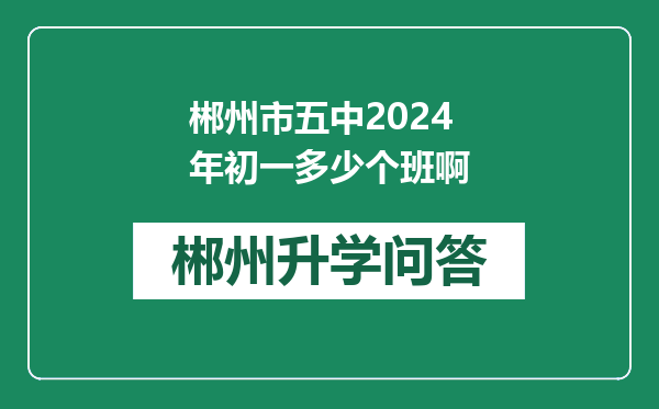 郴州市五中2024年初一多少个班啊