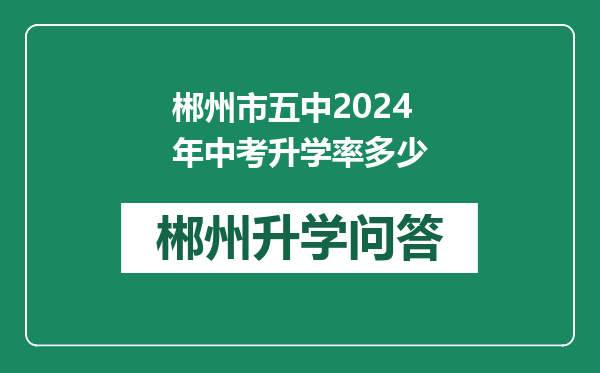 郴州市五中2024年中考升学率多少