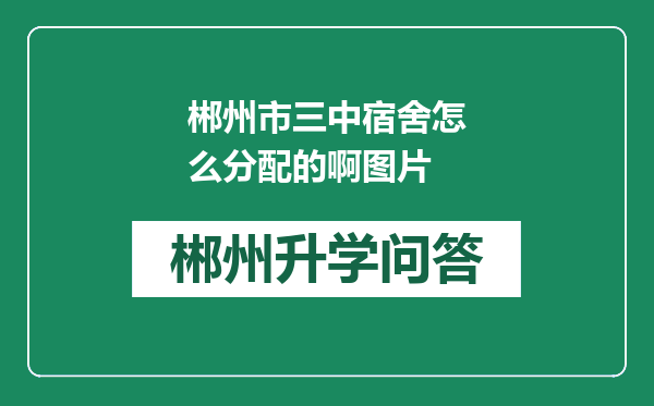 郴州市三中宿舍怎么分配的啊图片