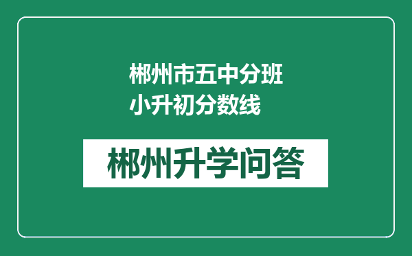 郴州市五中分班小升初分数线