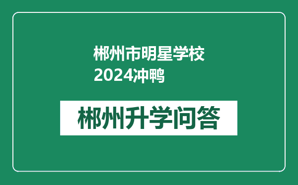 郴州市明星学校2024冲鸭