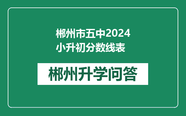 郴州市五中2024小升初分数线表