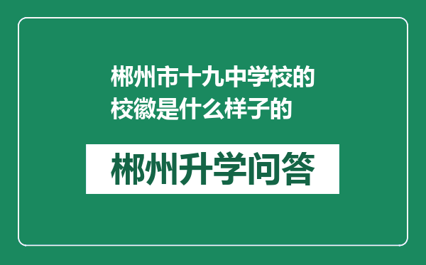 郴州市十九中学校的校徽是什么样子的