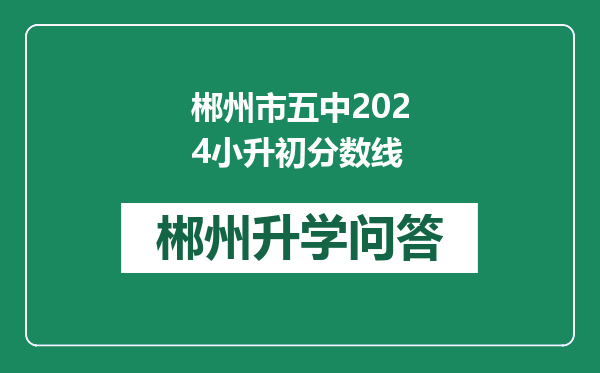 郴州市五中2024小升初分数线