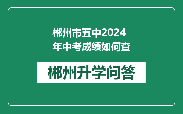 郴州市五中2024年中考成绩如何查