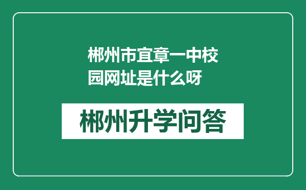 郴州市宜章一中校园网址是什么呀