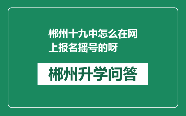 郴州十九中怎么在网上报名摇号的呀