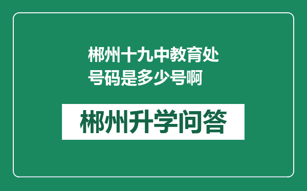 郴州十九中教育处号码是多少号啊