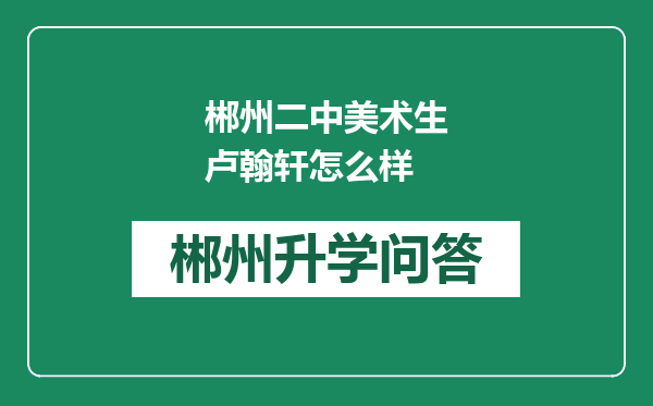 郴州二中美术生卢翰轩怎么样