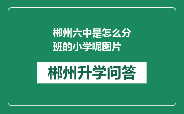 郴州六中是怎么分班的小学呢图片