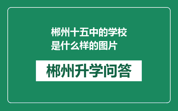 郴州十五中的学校是什么样的图片