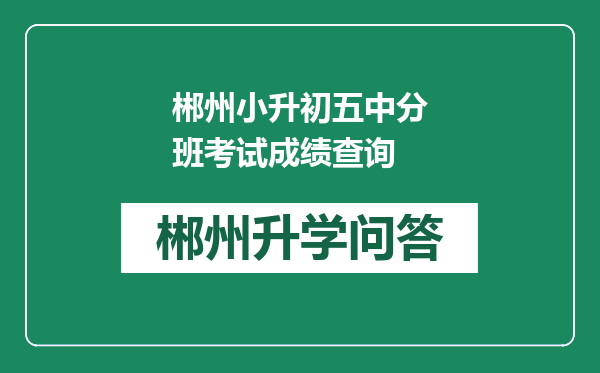 郴州小升初五中分班考试成绩查询