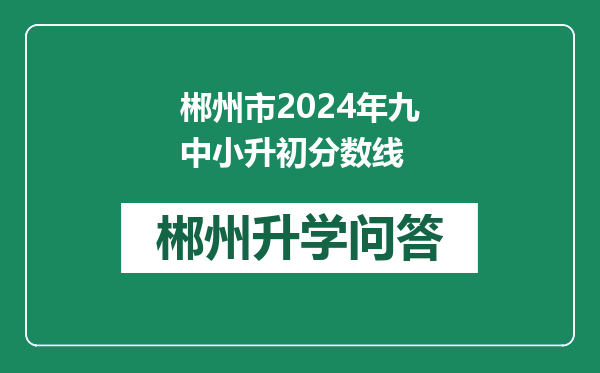 郴州市2024年九中小升初分数线