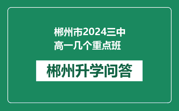 郴州市2024三中高一几个重点班