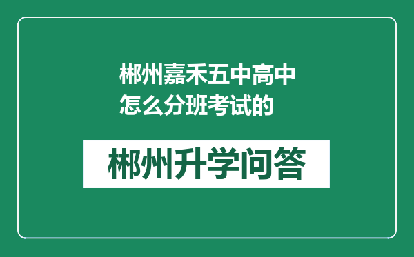 郴州嘉禾五中高中怎么分班考试的