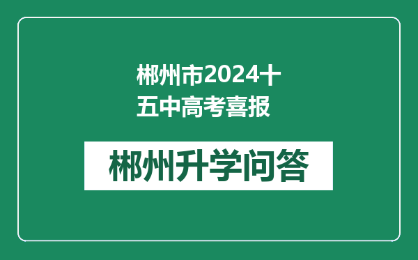 郴州市2024十五中高考喜报