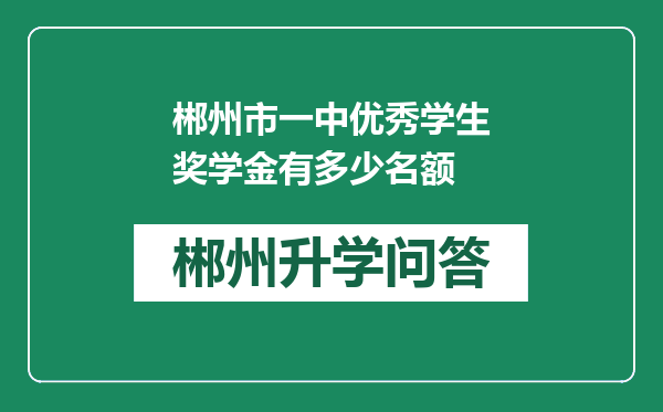 郴州市一中优秀学生奖学金有多少名额