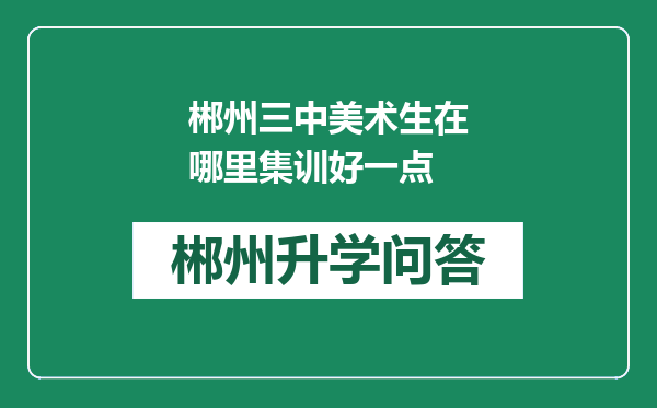 郴州三中美术生在哪里集训好一点