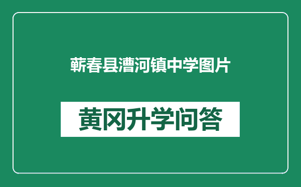 蕲春县漕河镇中学图片