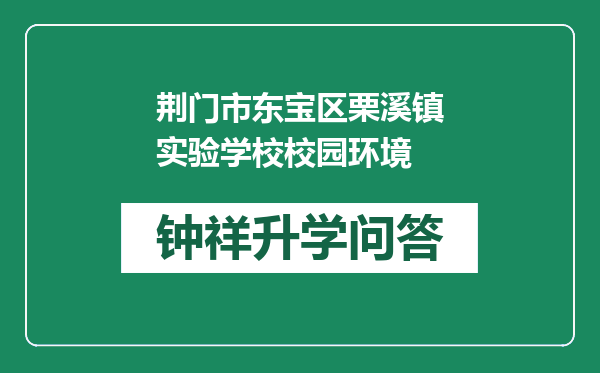 荆门市东宝区栗溪镇实验学校校园环境