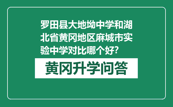 罗田县大地坳中学和湖北省黄冈地区麻城市实验中学对比哪个好？