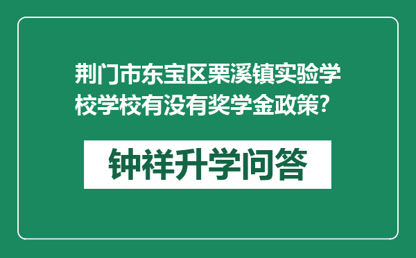 荆门市东宝区栗溪镇实验学校学校有没有奖学金政策？