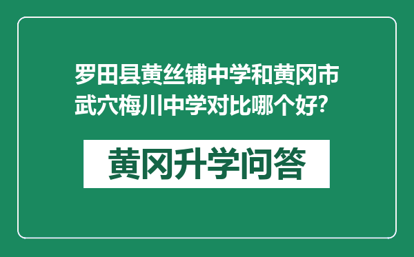 罗田县黄丝铺中学和黄冈市武穴梅川中学对比哪个好？