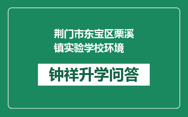 荆门市东宝区栗溪镇实验学校环境