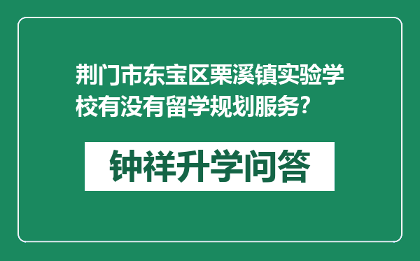 荆门市东宝区栗溪镇实验学校有没有留学规划服务？