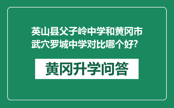 英山县父子岭中学和黄冈市武穴罗城中学对比哪个好？