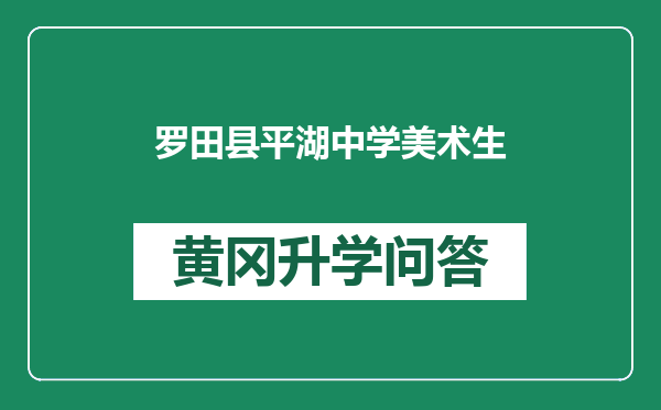 罗田县平湖中学美术生