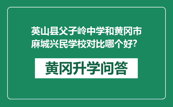 英山县父子岭中学和黄冈市麻城兴民学校对比哪个好？