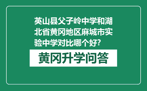 英山县父子岭中学和湖北省黄冈地区麻城市实验中学对比哪个好？