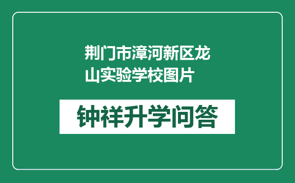 荆门市漳河新区龙山实验学校图片