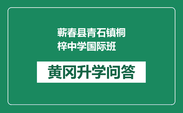 蕲春县青石镇桐梓中学国际班