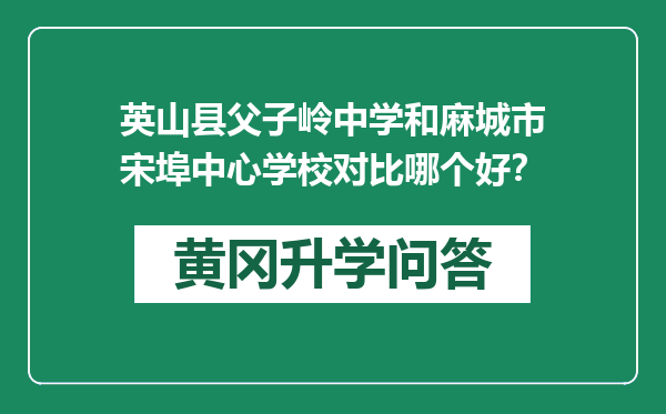 英山县父子岭中学和麻城市宋埠中心学校对比哪个好？