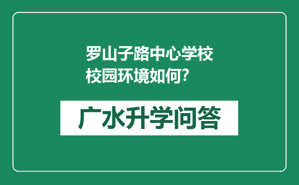 罗山子路中心学校校园环境如何？