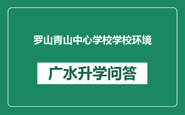 罗山青山中心学校学校环境