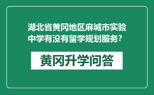 湖北省黄冈地区麻城市实验中学有没有留学规划服务？