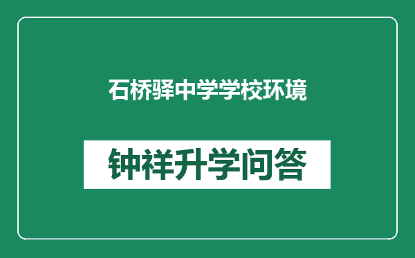 石桥驿中学学校环境