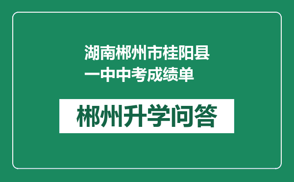 湖南郴州市桂阳县一中中考成绩单