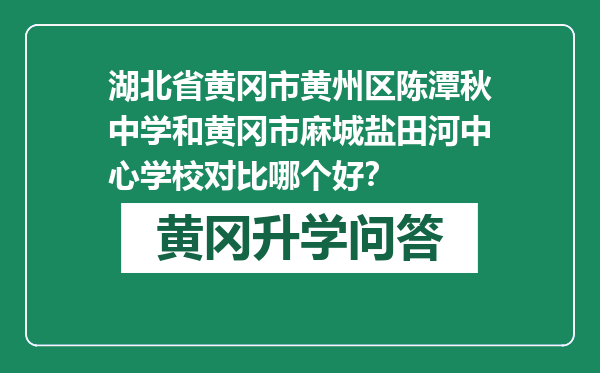 湖北省黄冈市黄州区陈潭秋中学和黄冈市麻城盐田河中心学校对比哪个好？