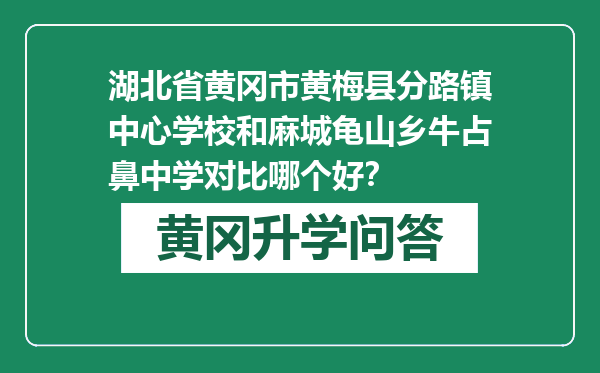 湖北省黄冈市黄梅县分路镇中心学校和麻城龟山乡牛占鼻中学对比哪个好？