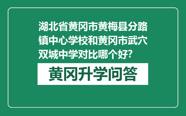 湖北省黄冈市黄梅县分路镇中心学校和黄冈市武穴双城中学对比哪个好？