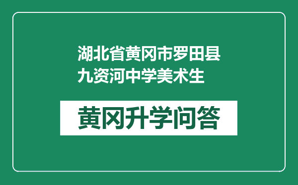 湖北省黄冈市罗田县九资河中学美术生